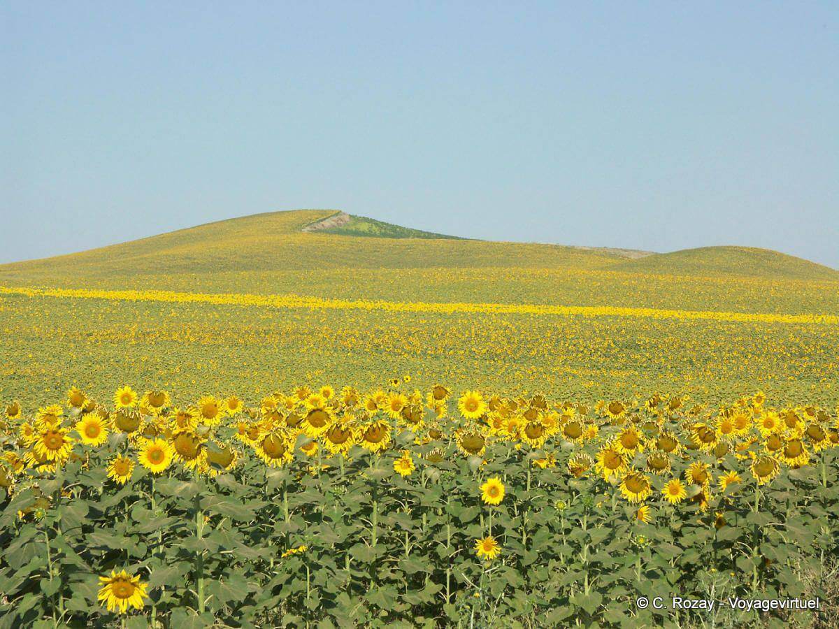 Qué visitar: Carmona y alrededores